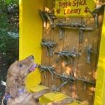 doggie_stick_library.jpg