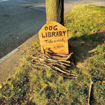 doglibrary.jpg