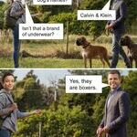 dogs_names.jpg
