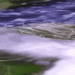 doingggs6.gif