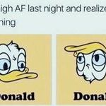 donalds.jpg