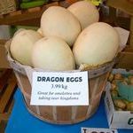 dragon_eggs.jpg