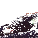 dvdeyes.gif