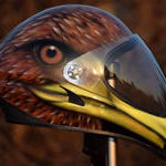 eaglehelmet.jpg