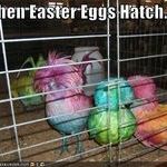 easter_eggs.jpg
