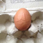 egg_4.jpg
