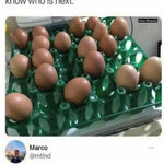 eggs11.jpg
