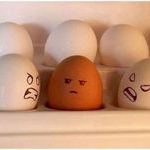 eggs8.jpg