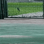 ei_paassy_tuosta.gif