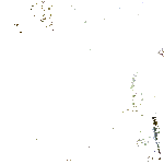 eipas_hiplata.gif