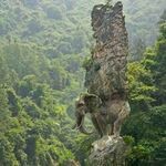 elephant14.jpg