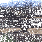 elephant_cant_break_his_stick_then_he_rage_quits.gif