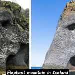 elephant_mountain.jpg