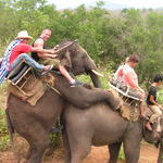 elephant_safari.jpg