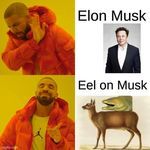 elonmusk09.jpg