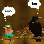 emo_fag_birds.jpg