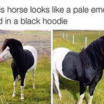 emo_horse.jpg