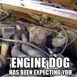 engine_dog.jpg