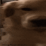 esterata09.gif