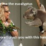 eucalyptus.jpg