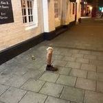 ever_been_so_drunk_you_left_your_leg_outside_the_pub.jpg
