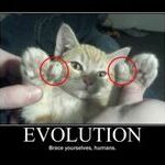 evolution13.jpg