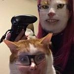 faceswapcat.jpg