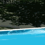 fail38.gif