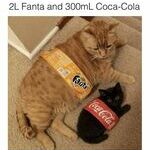 fanta_and_coke.jpg