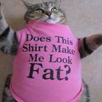 fat_cat3.jpg