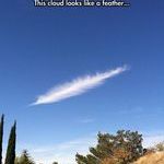 feather_cloud.jpg