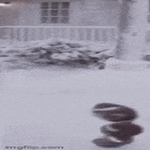 feikkiko.gif