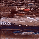 fiksukaveri3.gif