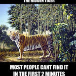 find_the_hidden_tiger.jpg