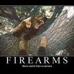 firearms.jpg