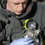 firefighter_kitten_oxygen.jpg
