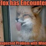 firefox8.jpg