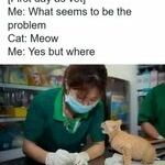 first_day_as_vet.jpg