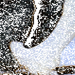 first_steps_yay.gif
