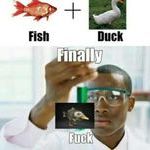fish_duck.jpg