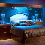 fish_tank_bedroom.jpg