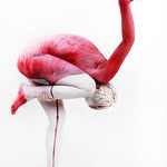 flamingo_bodyart.jpg