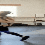 flapppssh.gif