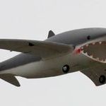 flying_shark_model_plane.jpg