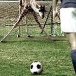 football2.jpg