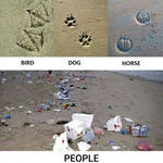 footprints_of_different_animals.jpg