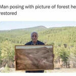 forestrestored.jpg