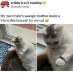 friendship3.jpg