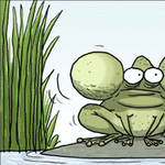 frog2.gif