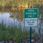 frog_park.jpg